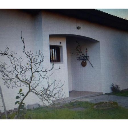 Appartamento In Villa Con Giardino A 300M Dal Lago Maggiore Castelletto sopra Ticino Eksteriør bilde