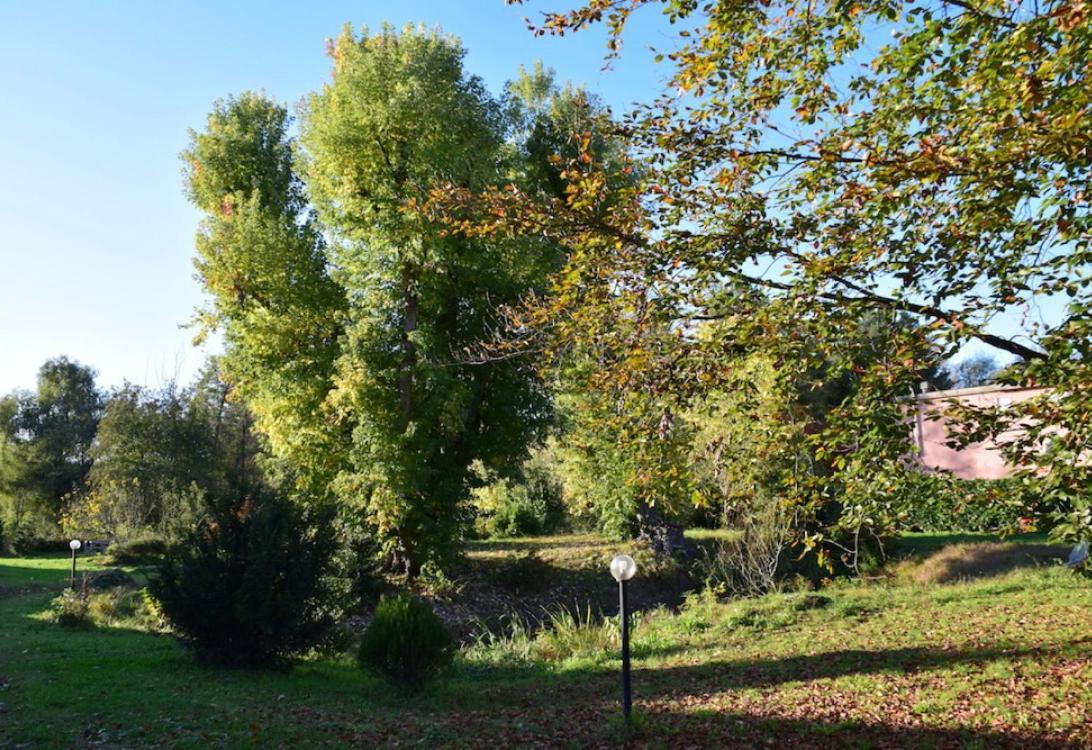 Appartamento In Villa Con Giardino A 300M Dal Lago Maggiore Castelletto sopra Ticino Eksteriør bilde